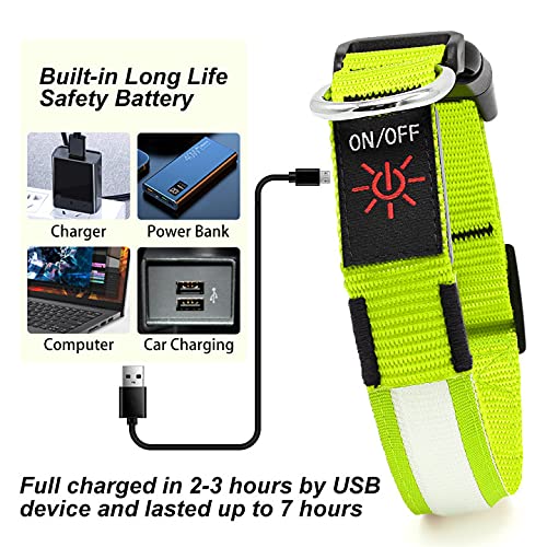 LED Dog Collar – Adjustable, Rechargeable & Light-Up for Night Safety