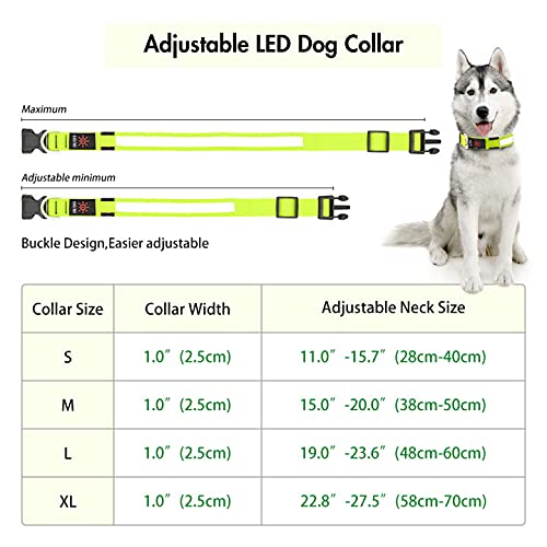 LED Dog Collar – Adjustable, Rechargeable & Light-Up for Night Safety