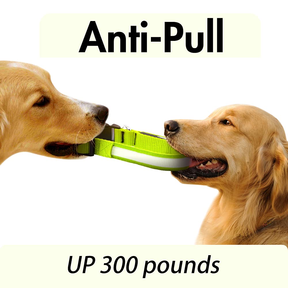 LED Dog Collar – Adjustable, Rechargeable & Light-Up for Night Safety