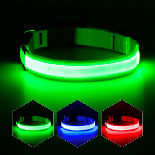 LED Dog Collar – Adjustable, Rechargeable & Light-Up for Night Safety