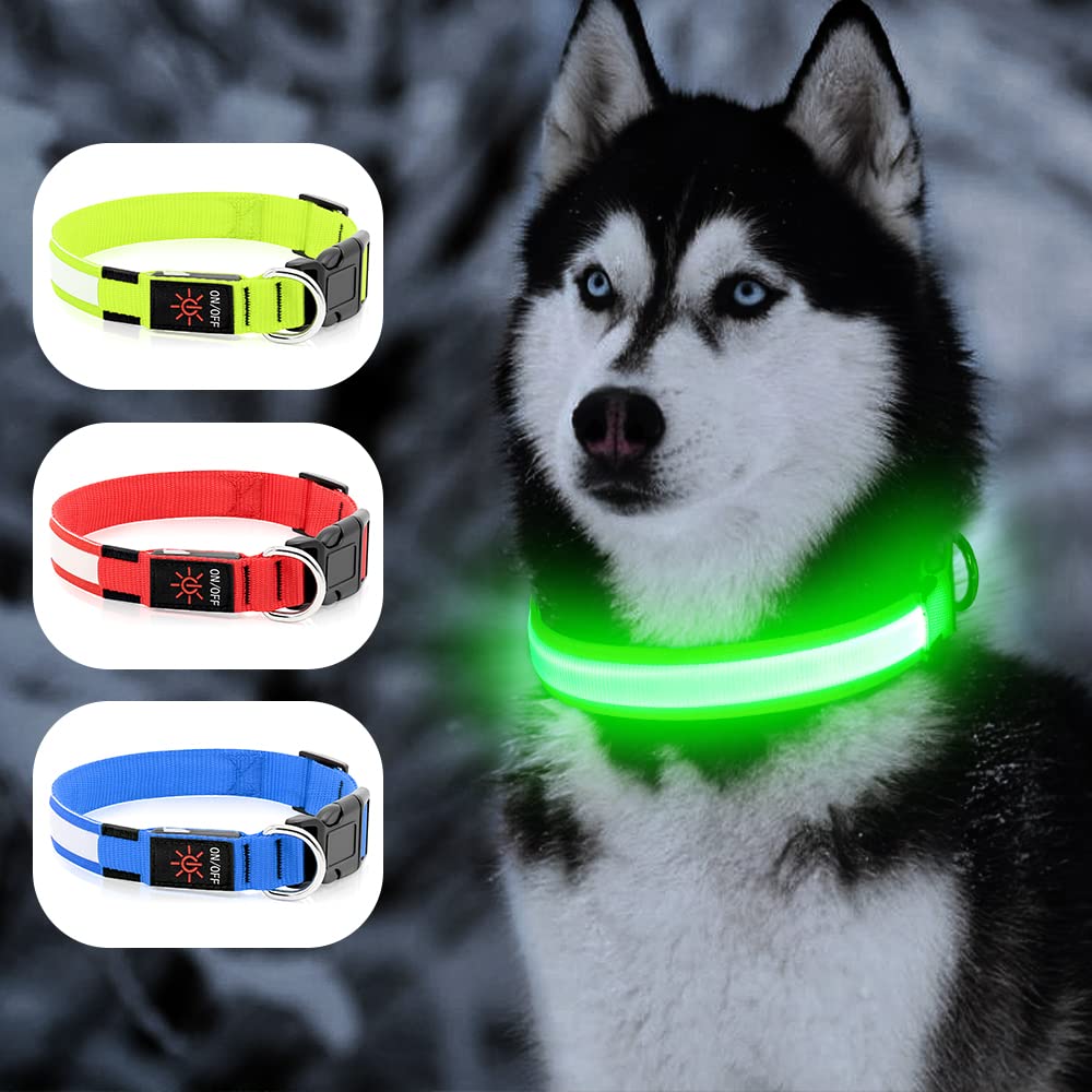 LED Dog Collar – Adjustable, Rechargeable & Light-Up for Night Safety