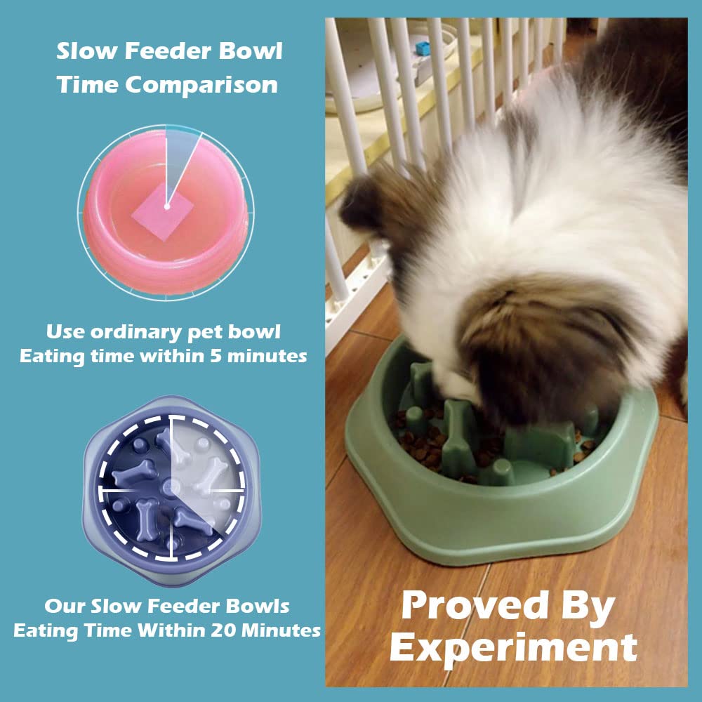 Slow Feeder Dog Bowl – Puzzle Design for Small & Medium Dogs | Anti-Choke & Lick Mat Combo