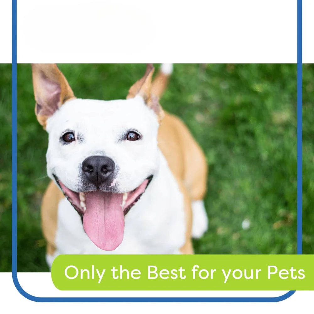Pet Dental Care Kit for Dogs & Cats