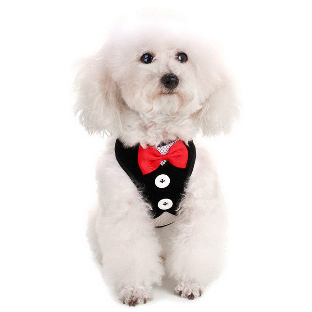 Bow Tie Tuxedo Dog Harness – Soft Mesh Vest & Leash Set for Small Dogs & Cats | Adjustable, Breathable & Formal Look (Black, Size S)