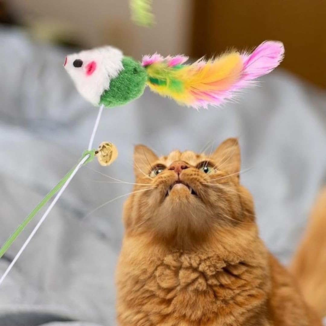 PET FUN Interactive Cat Teasing Stick – Feather Wand Toy for Kittens & Cats
