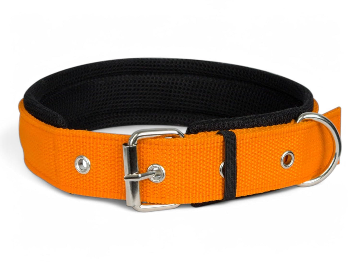 Soft Padded Dog Collar for Medium Dogs – 20MM Nylon Belt for Beagle, Boxer, Shiba Inu & More