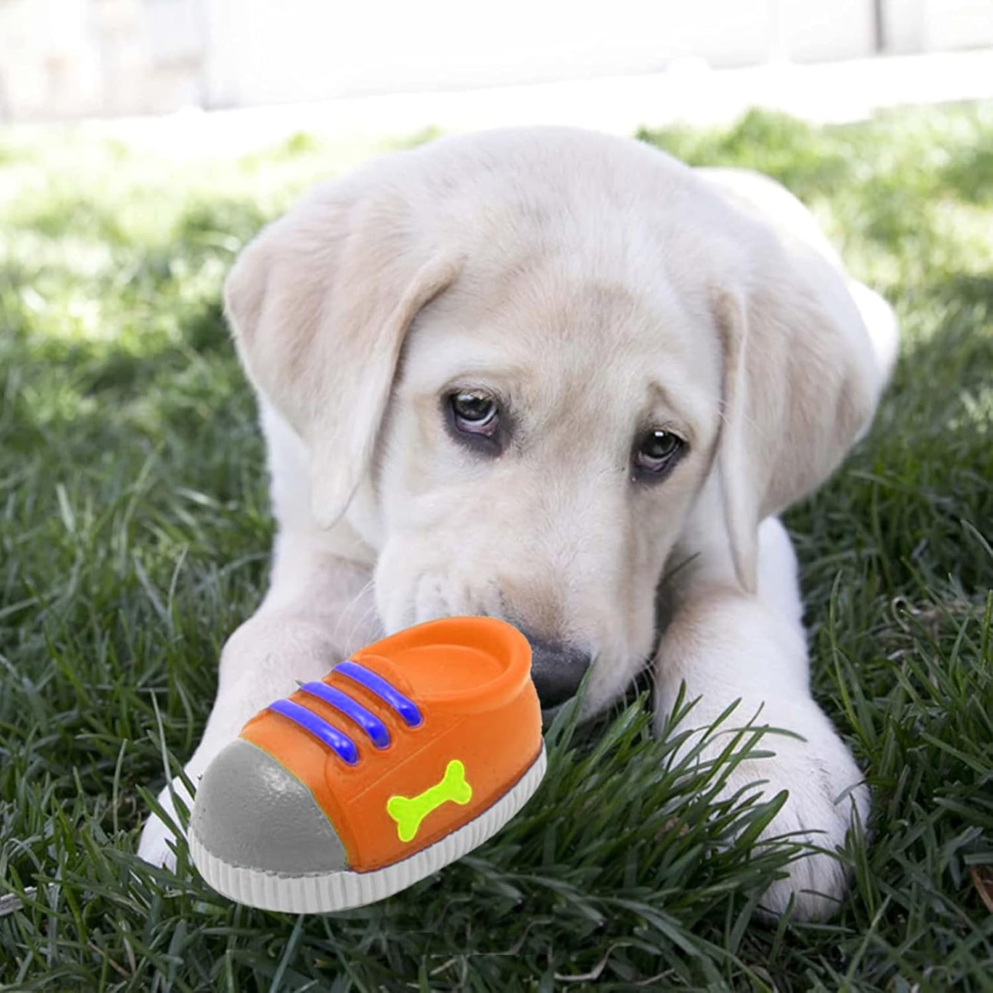 Shoe-Shaped Squeaky Dog Toy – Soft Latex Teething & Fetch Toy for Puppies & Small Dogs