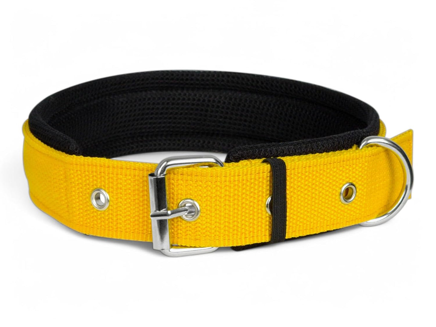 Soft Padded Dog Collar for Medium Dogs – 20MM Nylon Belt for Beagle, Boxer, Shiba Inu & More