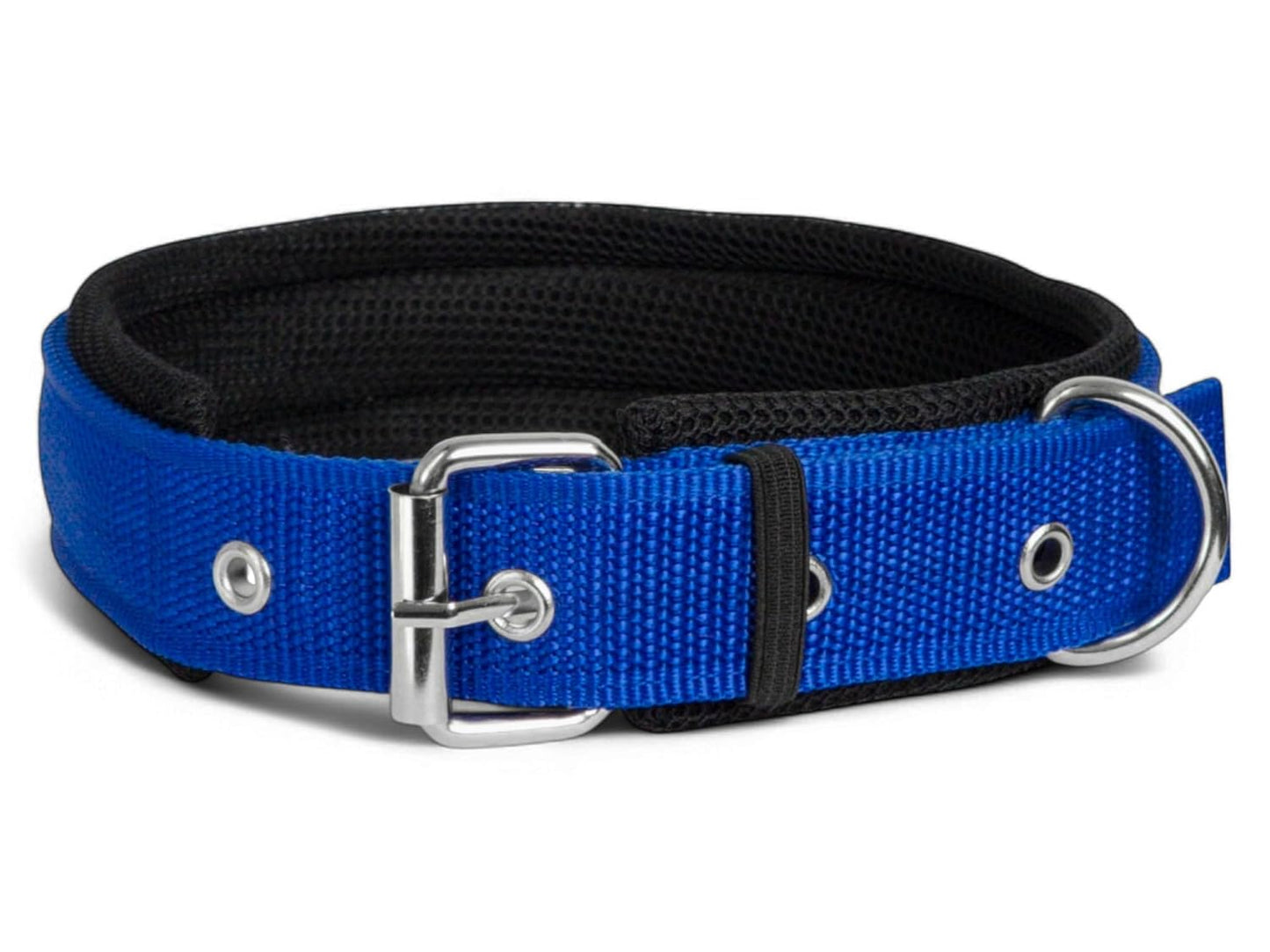Soft Padded Dog Collar for Medium Dogs – 20MM Nylon Belt for Beagle, Boxer, Shiba Inu & More
