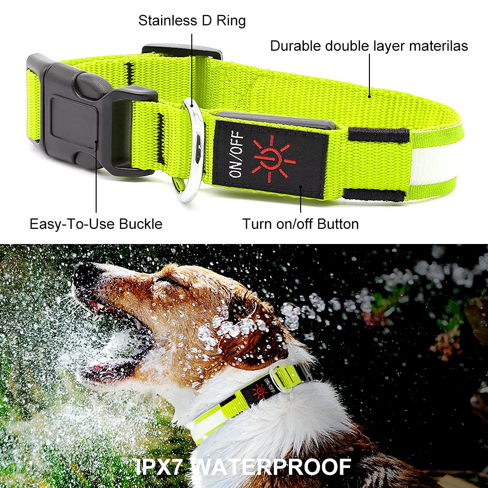 LED Dog Collar – Adjustable, Rechargeable & Light-Up for Night Safety
