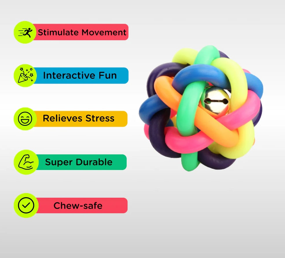 Colorful Noodle Ball – Interactive Chew & Play Toy for Dogs and Cats