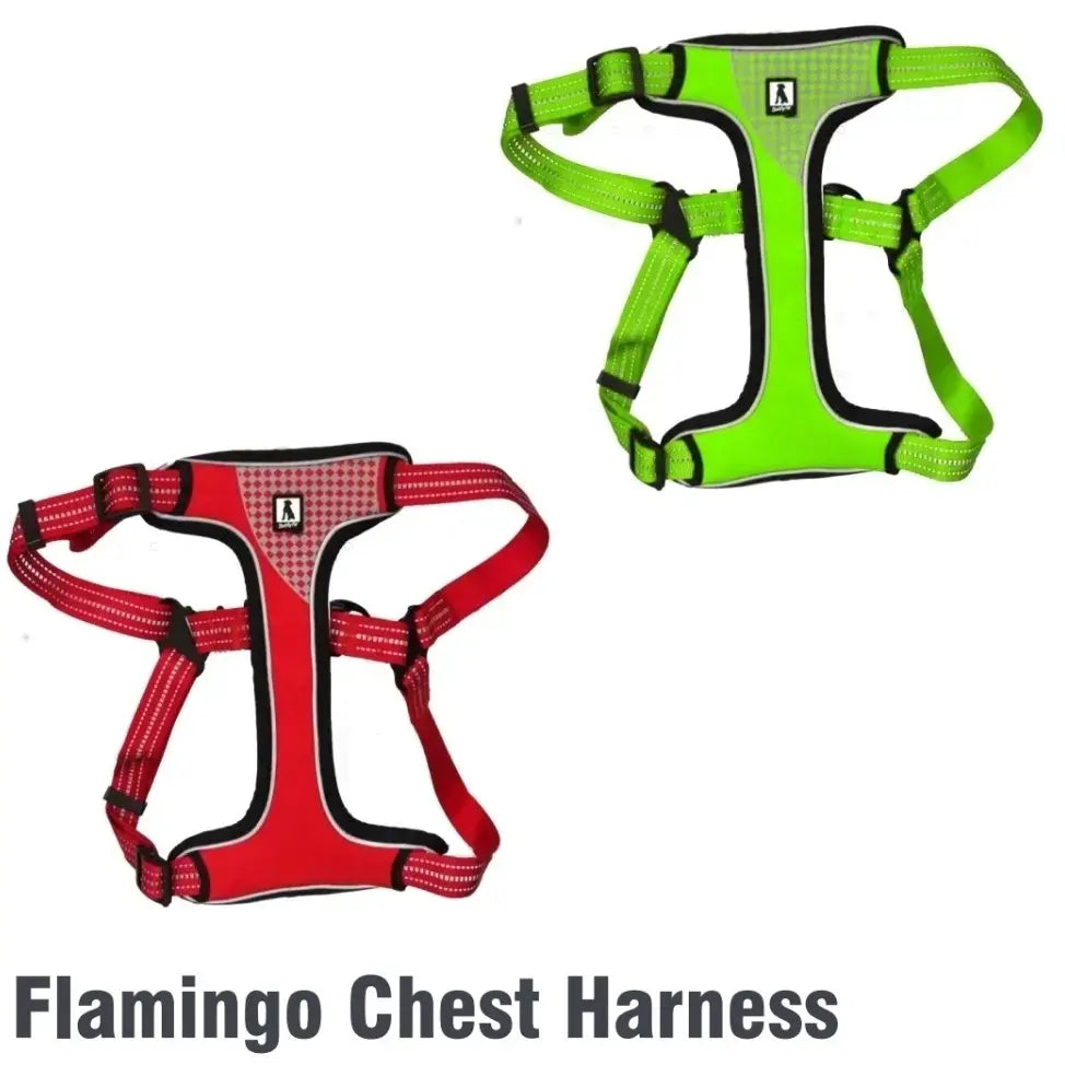 Dog Vest Harness Belt – Adjustable, Stylish & Durable for Dogs, Size S