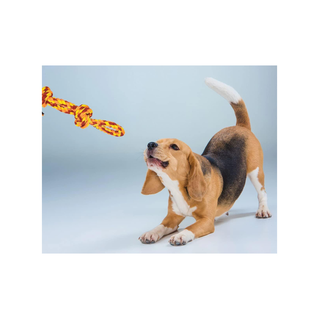 Crazy Tails Dog Chew Rope Toys – Tug-of-War & Fetching Ropes| 100% Natural Cotton for Aggressive Chewers