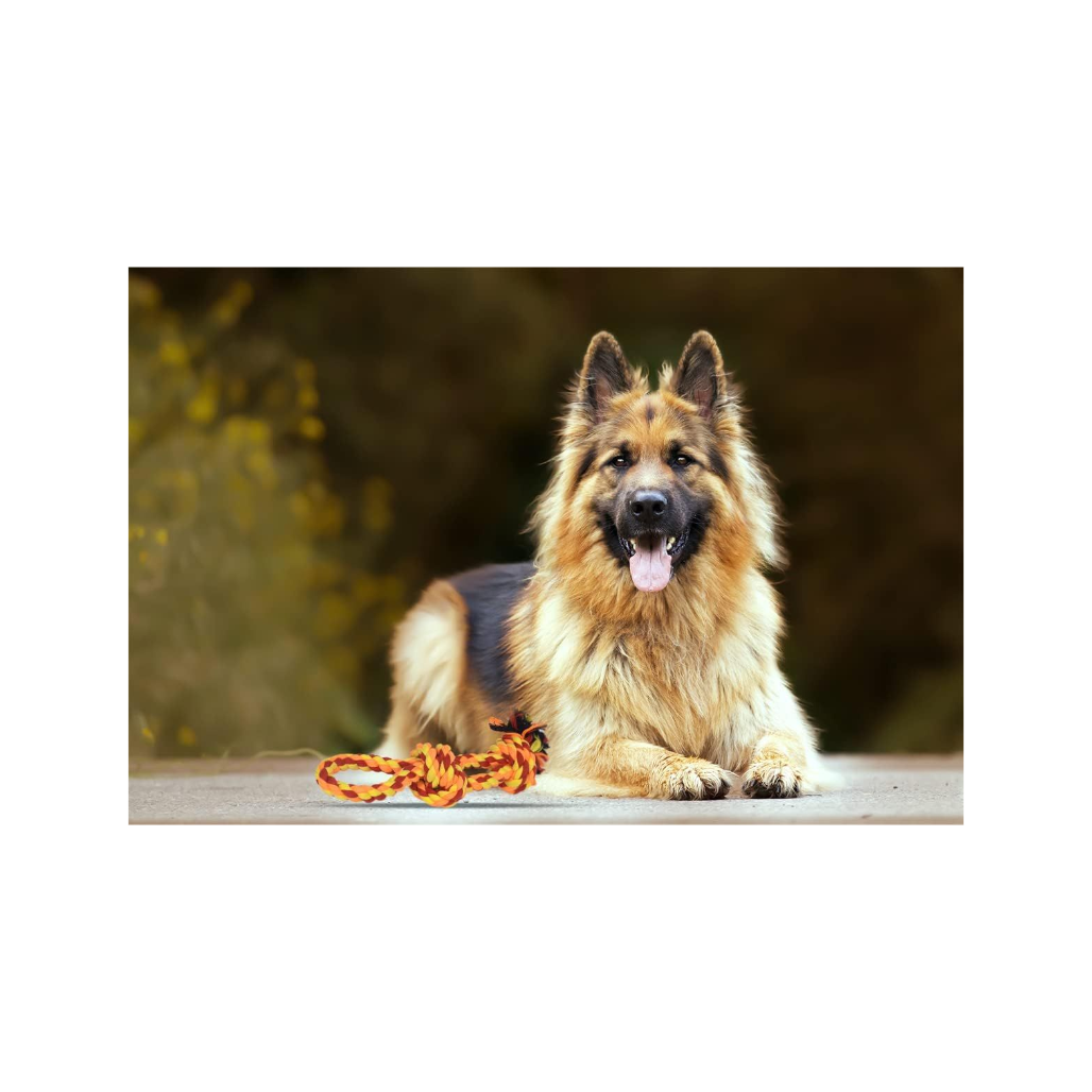 Crazy Tails Dog Chew Rope Toys – Tug-of-War & Fetching Ropes| 100% Natural Cotton for Aggressive Chewers