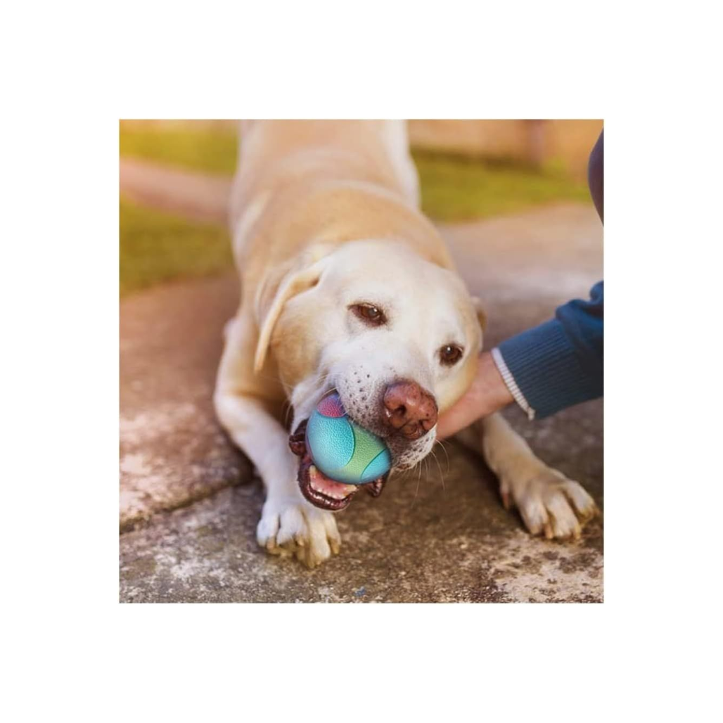 Anomidry Rubber Dog Toy Ball – 6.5cm Anti-Bite, Tooth-Cleaning Elastic Ball for Training & Play (Color: A)
