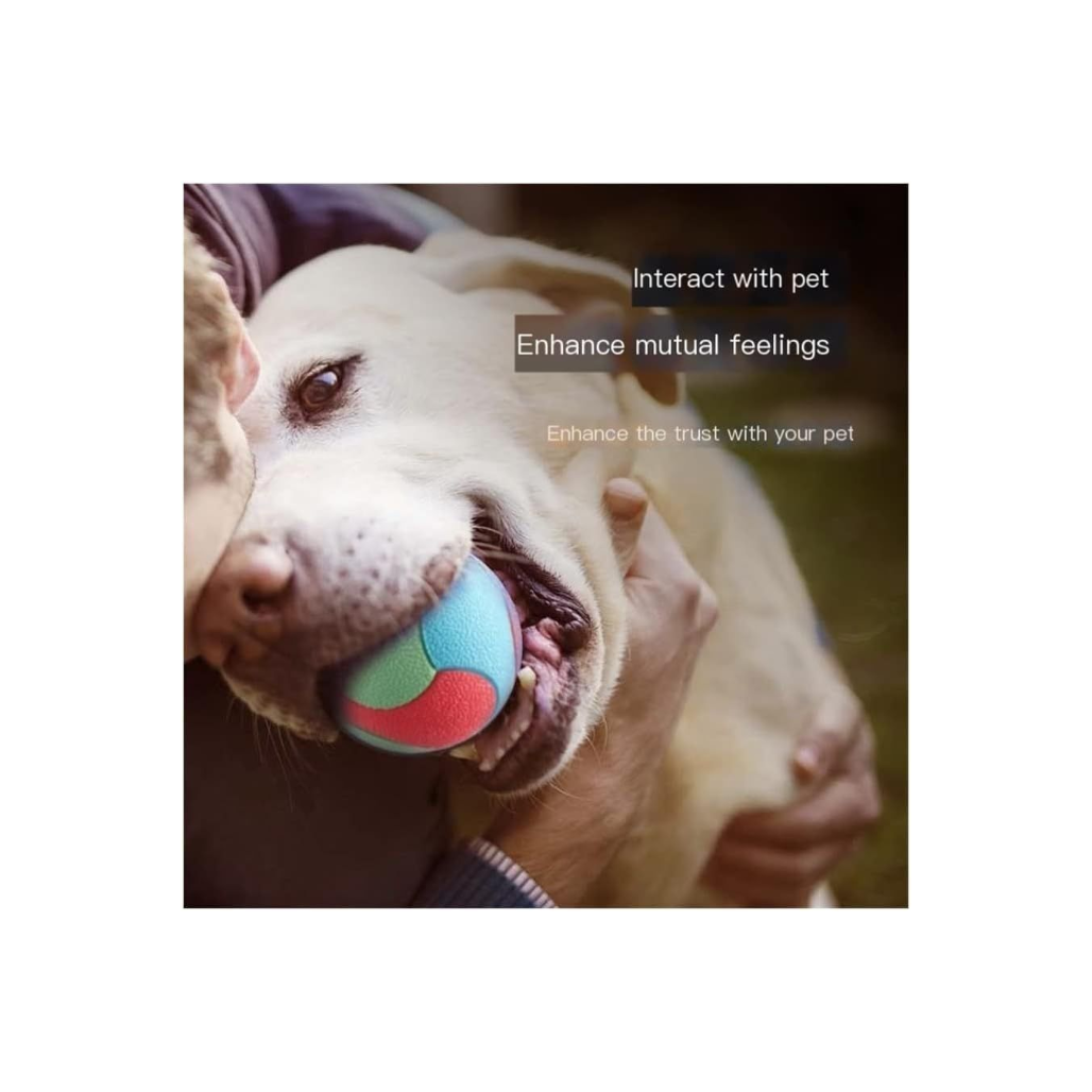 Anomidry Rubber Dog Toy Ball – 6.5cm Anti-Bite, Tooth-Cleaning Elastic Ball for Training & Play (Color: A)