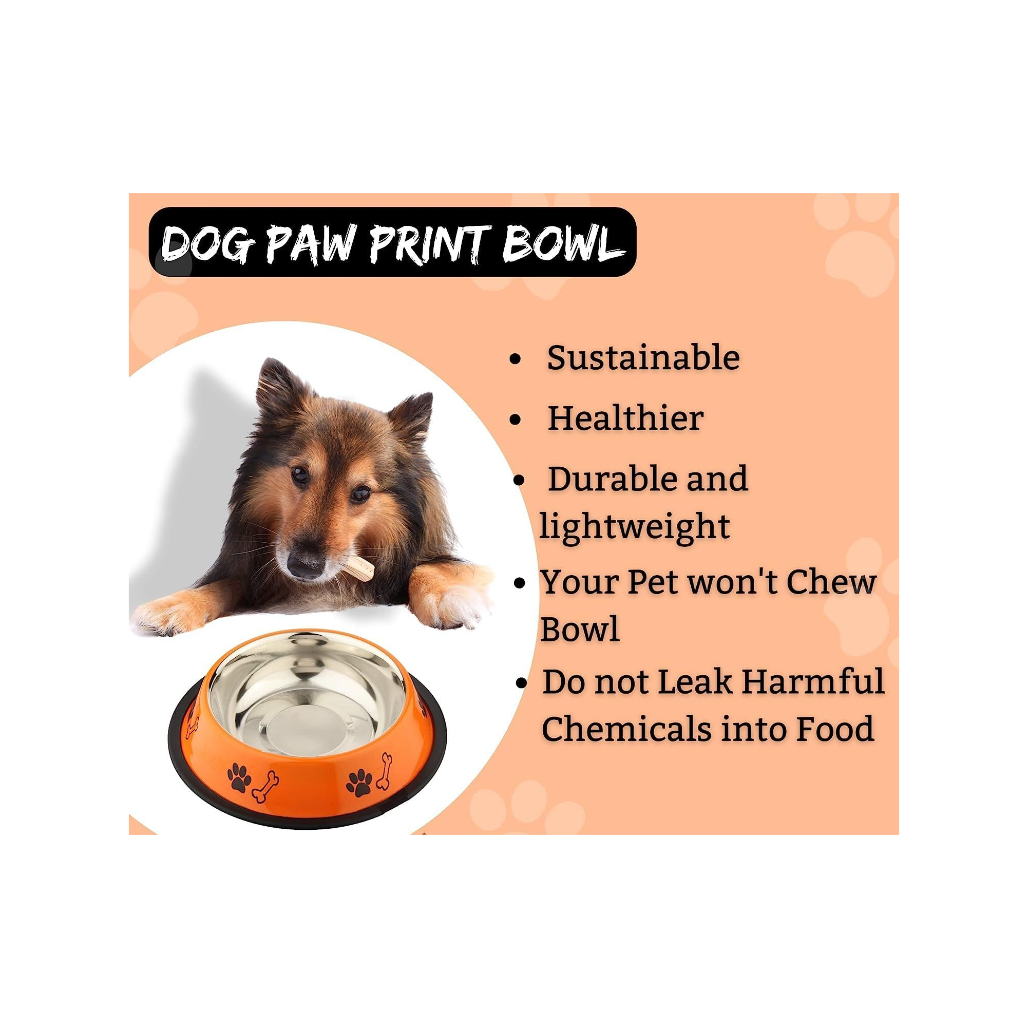 Foodie Puppies Stainless Steel Dog Bowl Combo – 450ml Small Size | Food & Water Feeder with Anti-Skid Base