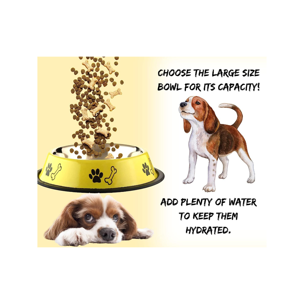Foodie Puppies Stainless Steel Dog Bowl Combo – 450ml Small Size | Food & Water Feeder with Anti-Skid Base