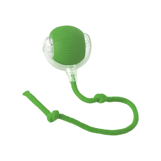 Interactive Cat Ball Toy – Smart Rolling Ball with Tail | Motion Sensor, USB Rechargeable, Obstacle Avoidance Play Ball for Indoor Cats