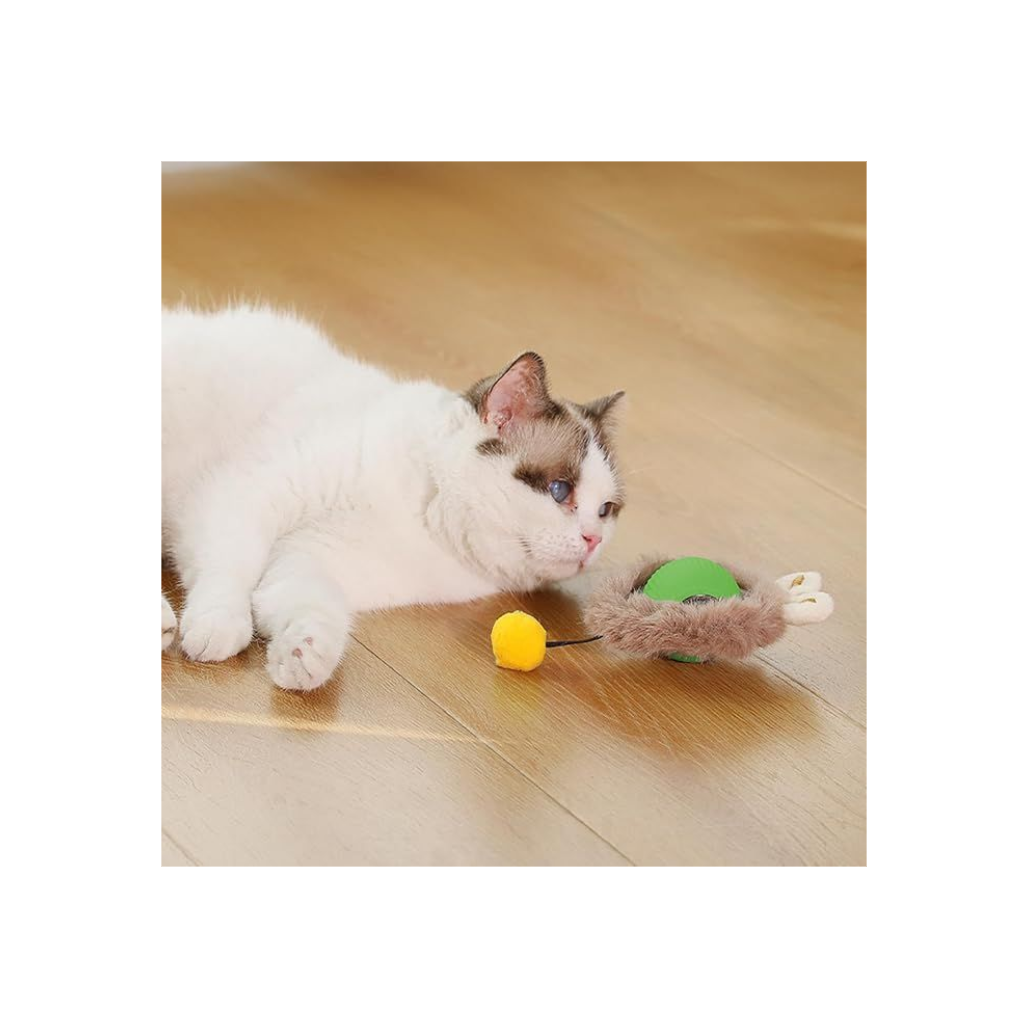 Interactive Rolling Ball Toy for Indoor Cats – Motion-Activated, Chirping & LED Light Ball for Kittens