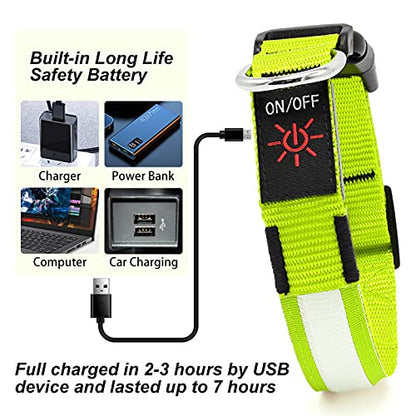 LED Dog Collar – Adjustable, Rechargeable & Light-Up for Night Safety
