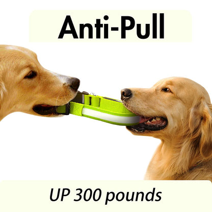 LED Dog Collar – Adjustable, Rechargeable & Light-Up for Night Safety