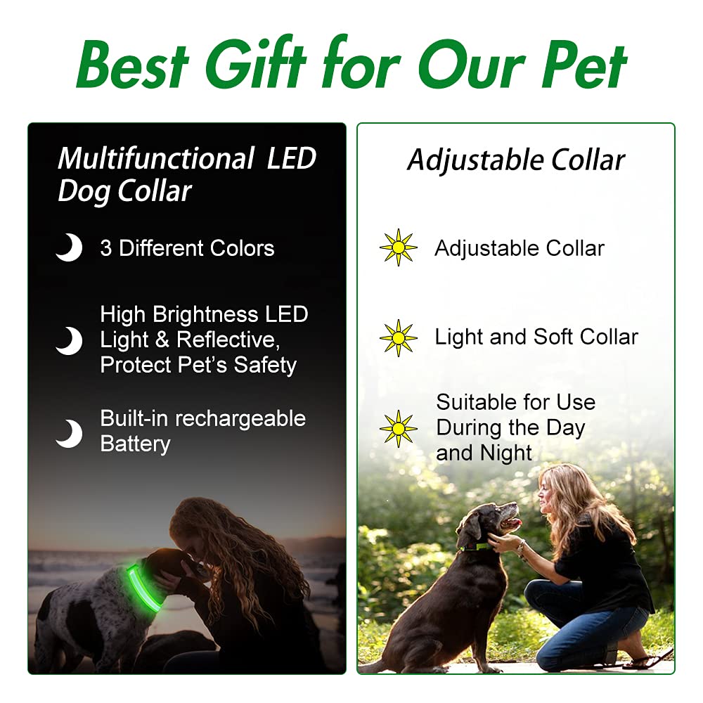 LED Dog Collar – Adjustable, Rechargeable & Light-Up for Night Safety