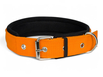 Soft Padded Dog Collar for Medium Dogs – 20MM Nylon Belt for Beagle, Boxer, Shiba Inu & More