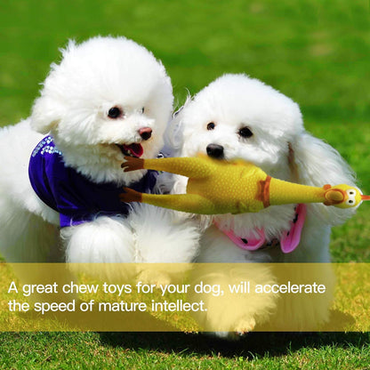 Screaming Chicken Dog Toy – Squeaky, Durable & Hilarious (Yellow, Small)