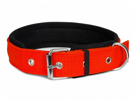 Soft Padded Dog Collar for Medium Dogs – 20MM Nylon Belt for Beagle, Boxer, Shiba Inu & More