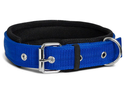 Soft Padded Dog Collar for Medium Dogs – 20MM Nylon Belt for Beagle, Boxer, Shiba Inu & More
