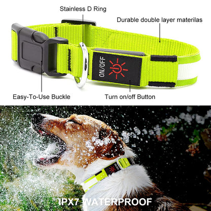 LED Dog Collar – Adjustable, Rechargeable & Light-Up for Night Safety
