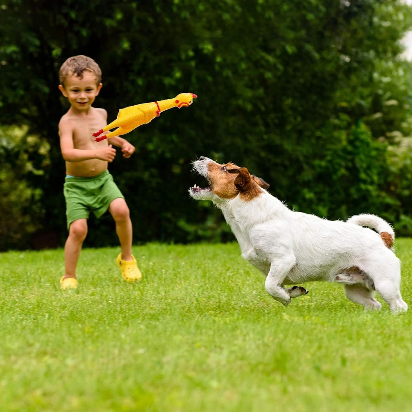 Screaming Chicken Dog Toy – Squeaky, Durable & Hilarious (Yellow, Small)