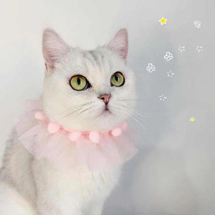 Layered Pet Bowknot Lace Collar – Elegant Dress Collar for Cats & Small Dogs