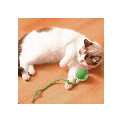 Interactive Cat Ball Toy – Smart Rolling Ball with Tail | Motion Sensor, USB Rechargeable, Obstacle Avoidance Play Ball for Indoor Cats