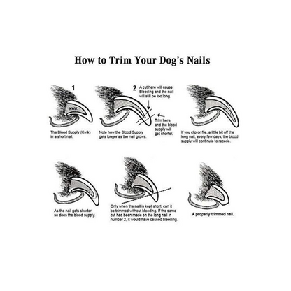 Pets Nail Clipper with Filer For Dogs & Cats
